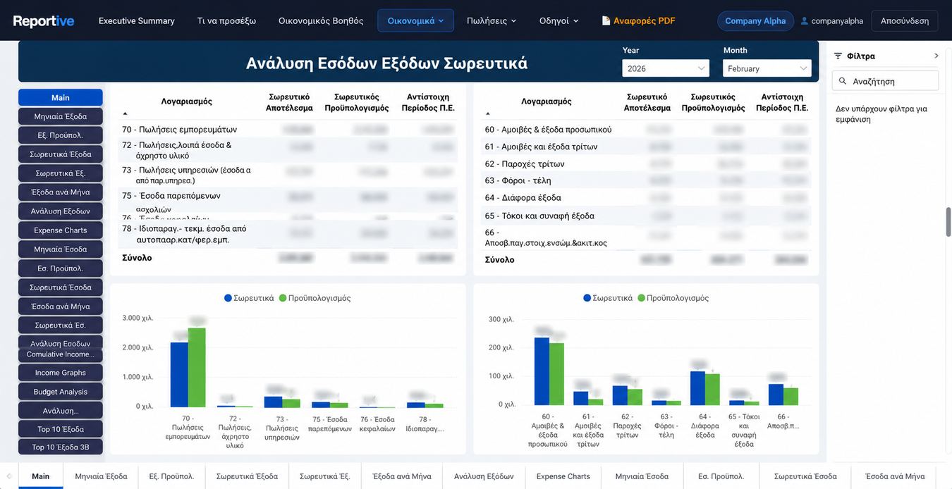 Income and expense analysis against budget